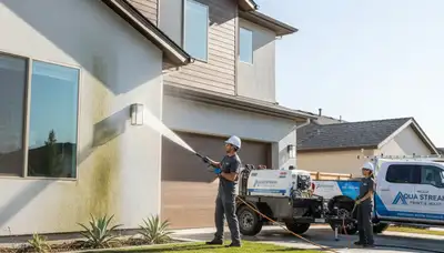 Professional pressure cleaning of home exterior in New Orleans, LA removing mold and mildew